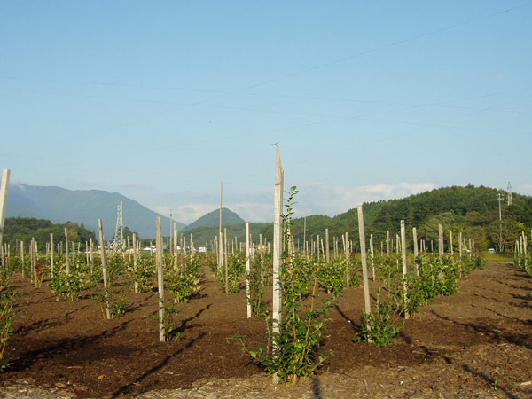 20051014.jpg